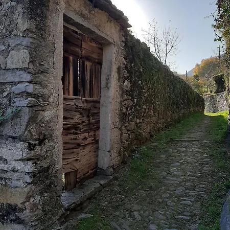 Residenza Le Camelie Appartement