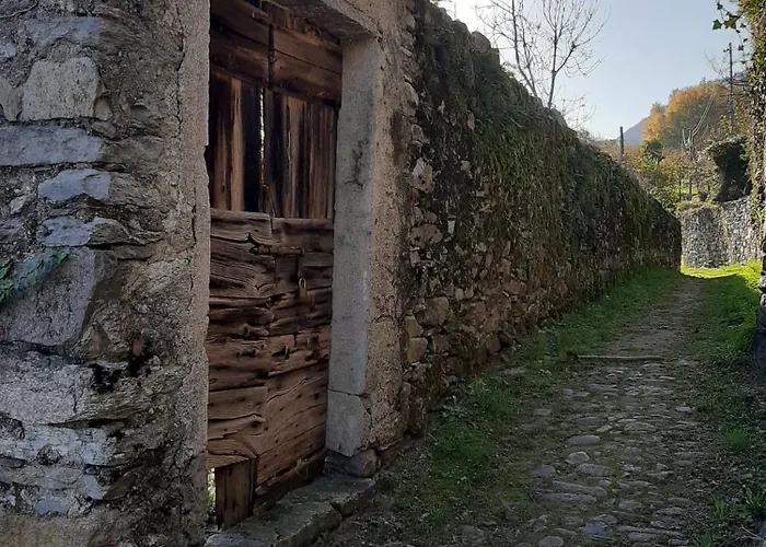 Residenza Le Camelie דירה